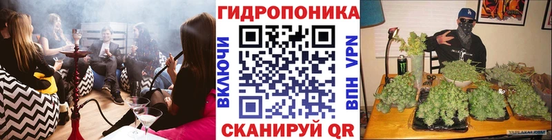 Как найти наркотики Котельниково МДМА  Амфетамин  Бошки Шишки  Alpha-PVP  Кокаин 