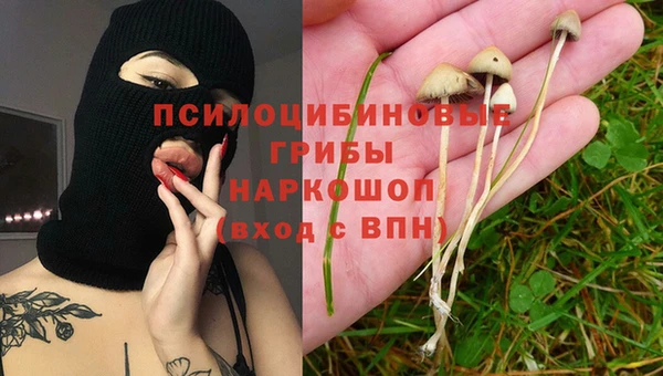 винт Арсеньев