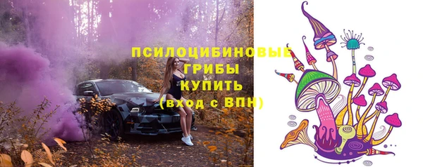 сатива Армянск