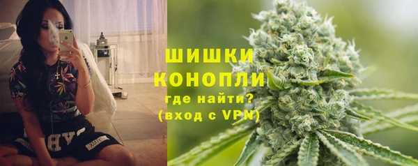 винт Арсеньев