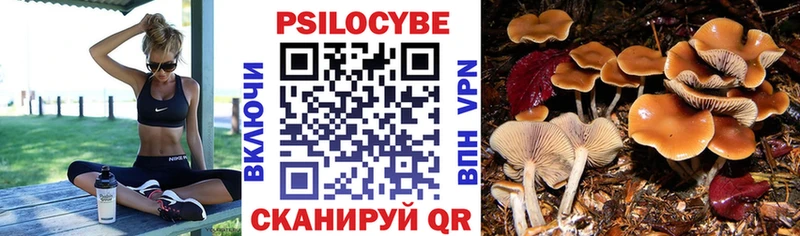 Псилоцибиновые грибы Psilocybe  Котельниково 